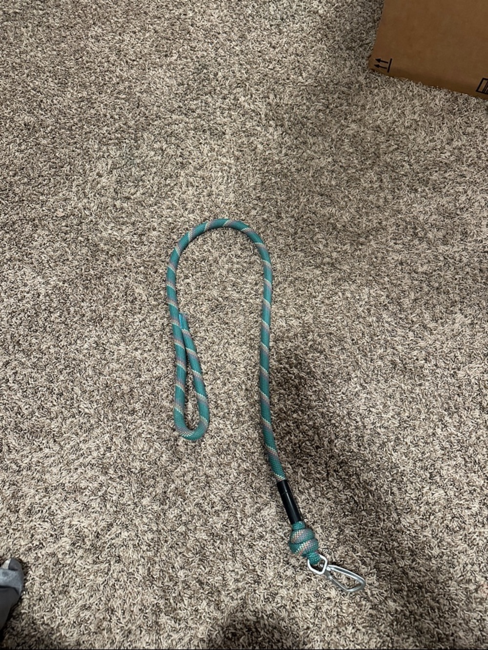 Teal & Gray Rope Dog Leash with Metal Clip